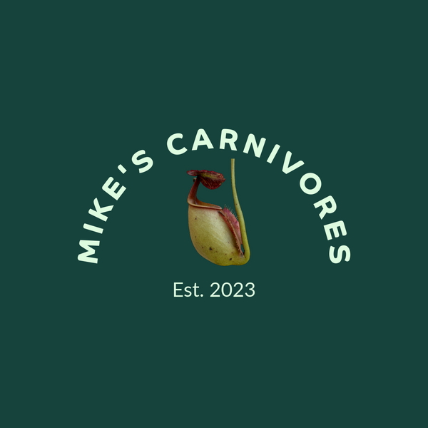 Mike's Carnivores