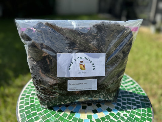 Carnivorous Peat Mix - 6lb bag